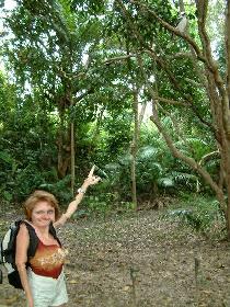 liquid without mask 70%