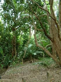 liquid with deletion mask 70%